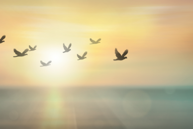 centered recovery programs georgia outpatient act therapy